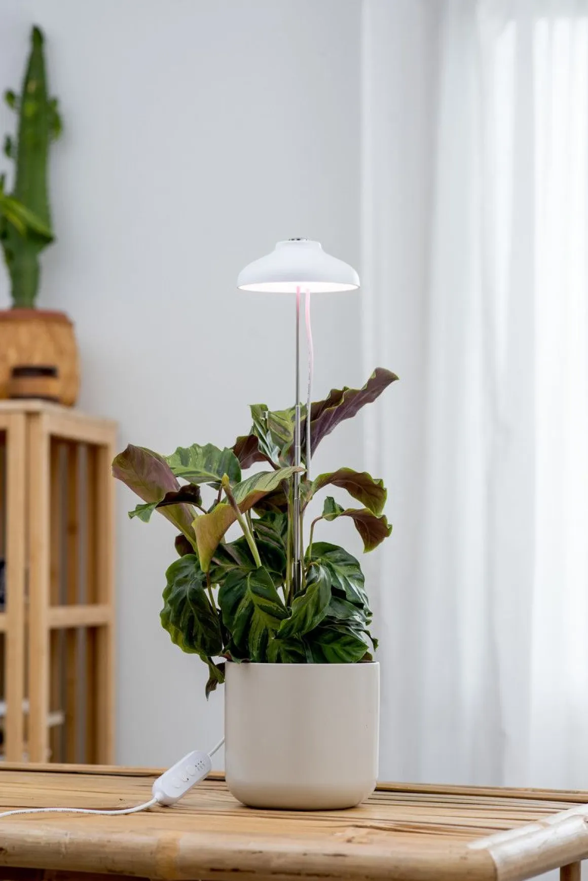 AIRAM KASVIVALAISIN IRIS IP20 5W 240LM VALKOINEN