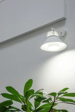 AIRAM LED KASVILAMPPU PAR16 6W GU10 500LM 36D