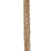 AMPPELIKOUKKU 17 CM