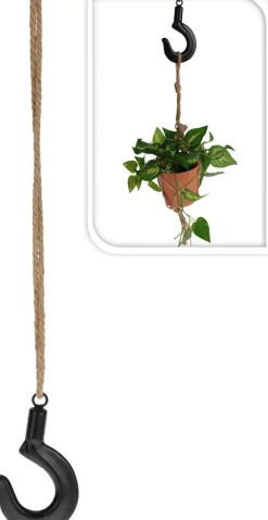 AMPPELIKOUKKU 17 CM