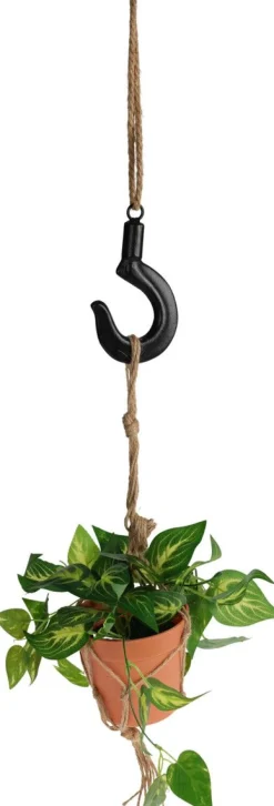 AMPPELIKOUKKU 17 CM