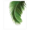 ART LINK JULISTE PALM TREE 40X50