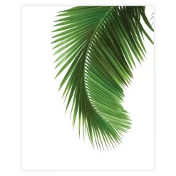 ART LINK JULISTE PALM TREE 40X50