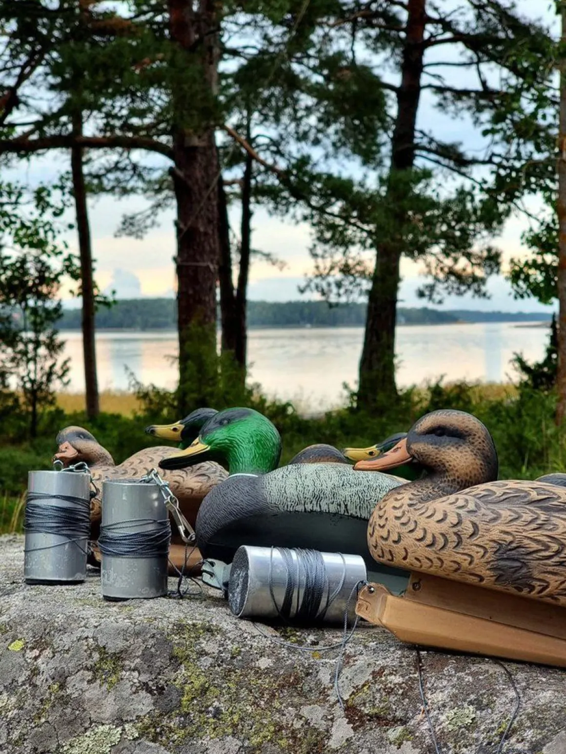 ATOM HOUKUTUSKUVA HEINÄSORSA NAARAS