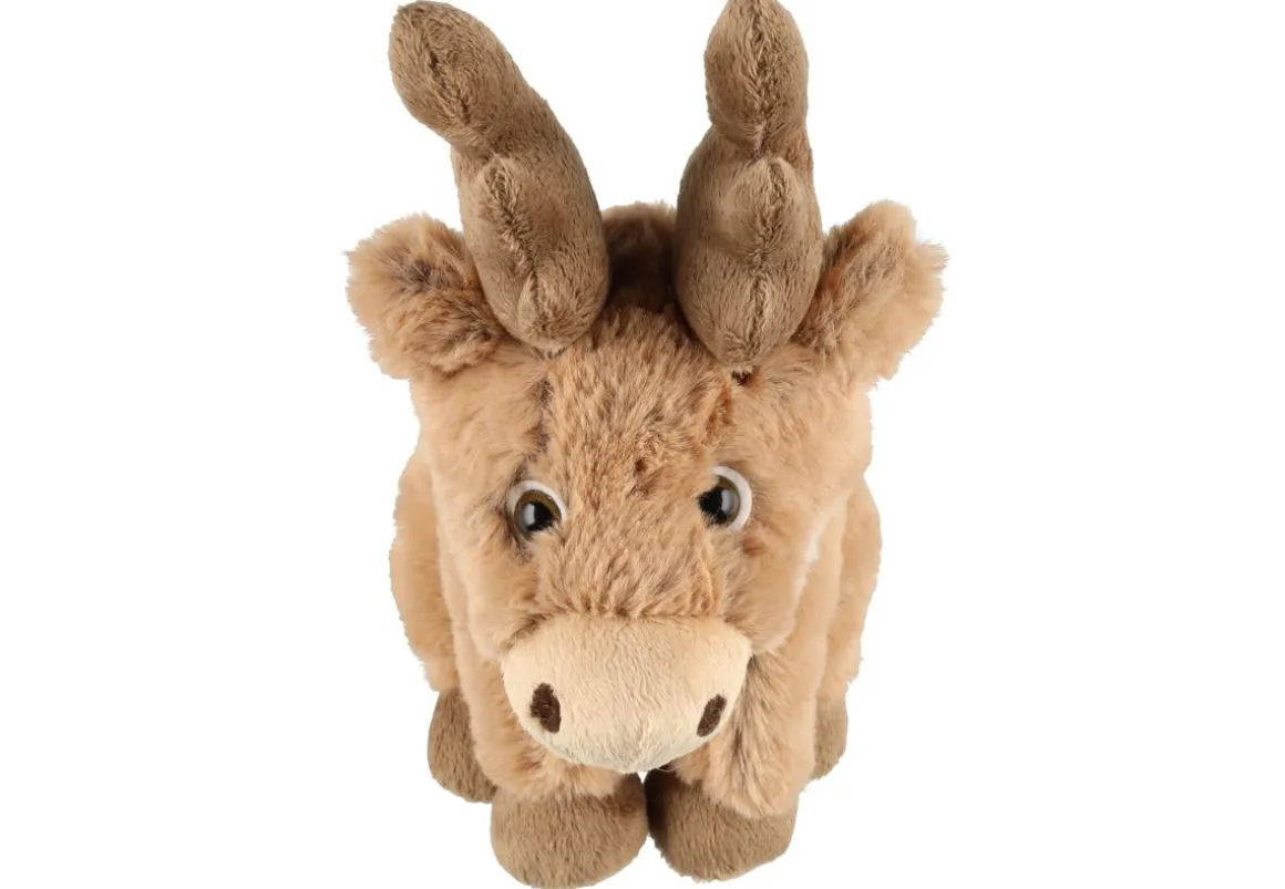 AURORAB PORO ISTUVA 23CM