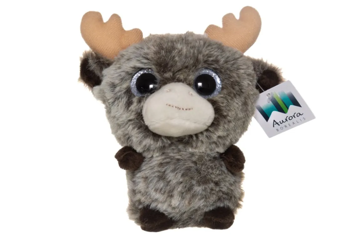 AURORA BOREALIS PORO PUSSISSA