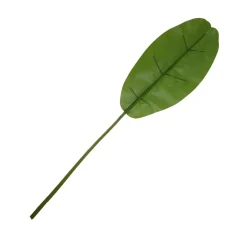 BANAANINLEHTI 117CM