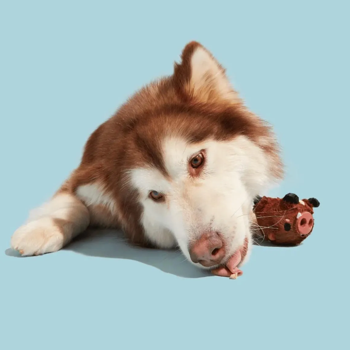 BARK KOIRANLELU 2IN1 WILD BORIS M