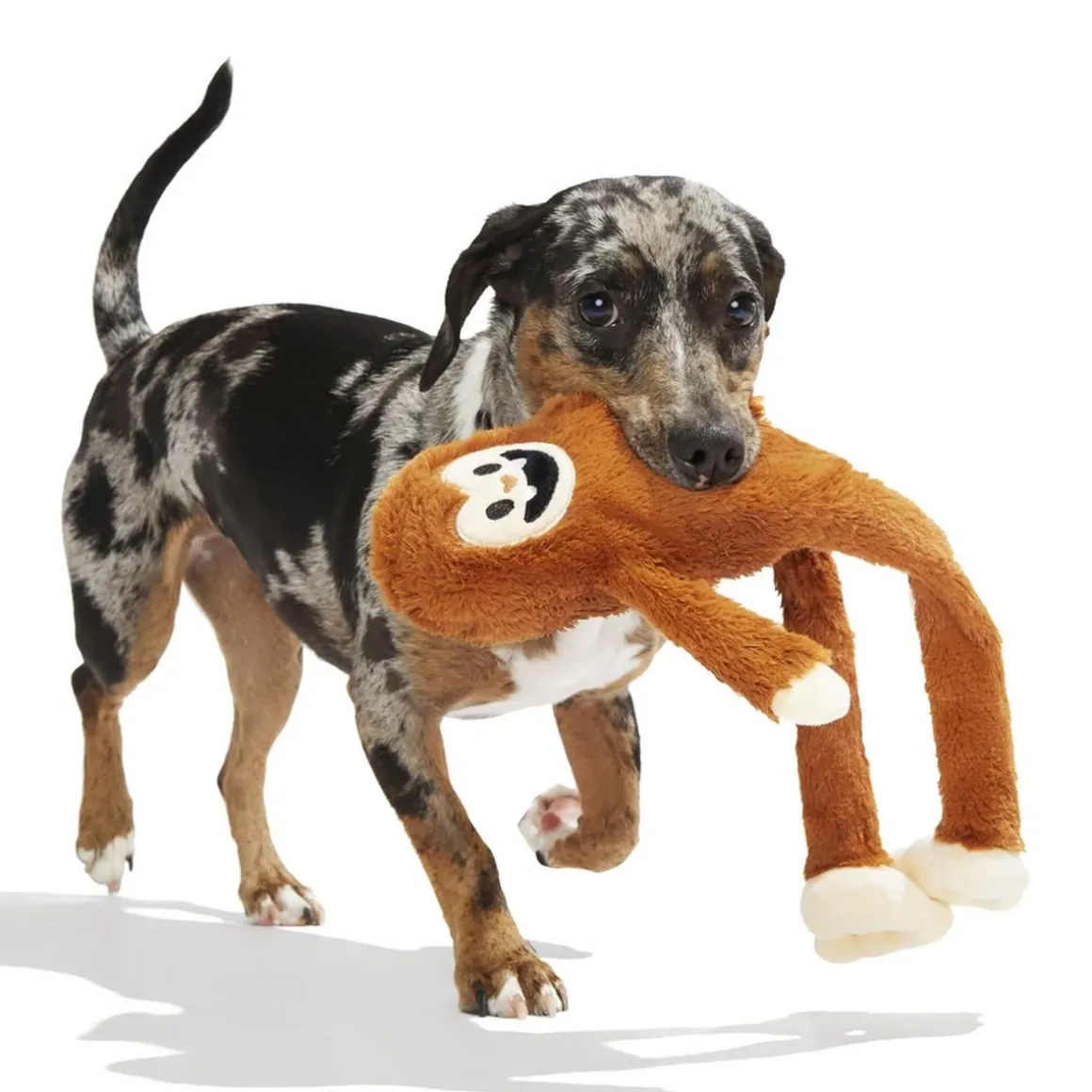 BARK KOIRANLELU SASQUATCH JOSH 50CM VINKU & RAPINA