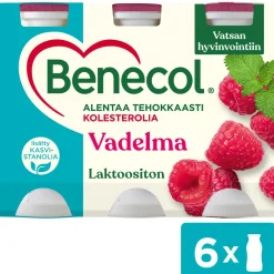 BENECOL JOGURTTIJUOMA 6*100G VADELMA 600 G