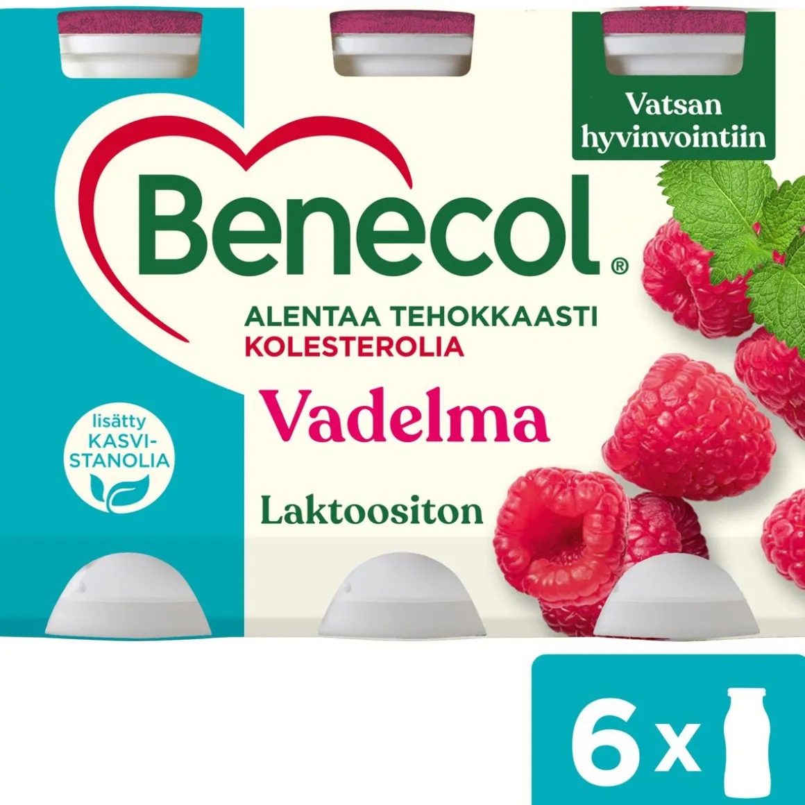 BENECOL JOGURTTIJUOMA 6*100G VADELMA 600 G