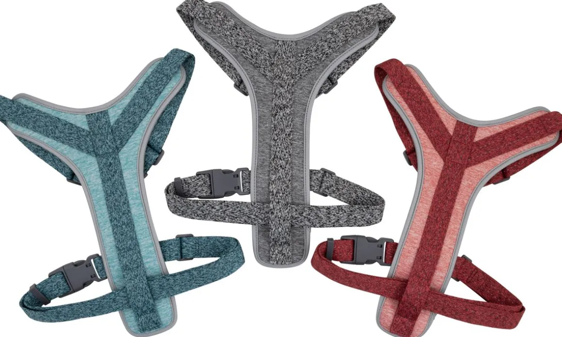 BEST FRIEND DAILY WALKER KOIRAN Y-VALJAS M 15,25KG