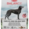 BEST FRIEND BALANCE ADULT 10KG 10 KG