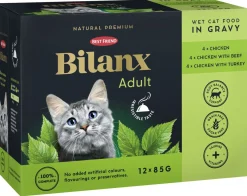 BEST FRIEND BILANX ADULT LAJ.  KASTIKKEESSA 12*85G KANA, NA 1,2 KG