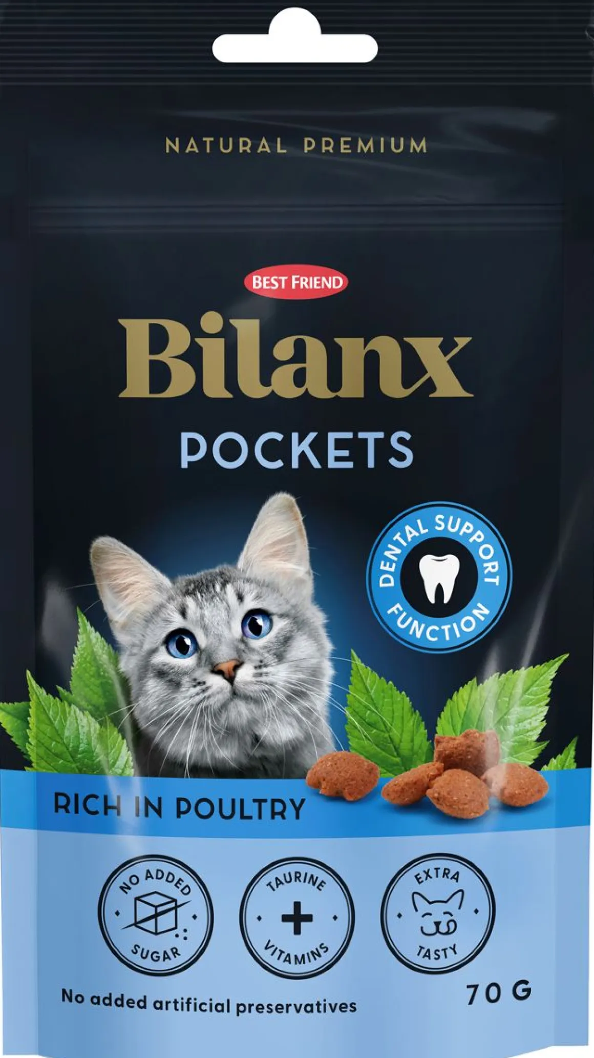 BEST FRIEND BILANX POCKETS HERKKU DENTAL 70 G