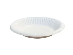 BIOWARE KARTONKINEN VALKOINEN KULHO 350 ML 50 KPL