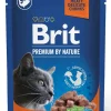 BRIT PREMIUM BY NATURE CAT ANNOSP. STER. GRAVY SALMON 100 G