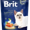BRIT PREMIUM BY NATURE LOHTA AIK. KISSOILLE 300 G