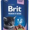 BRIT PREMIUM BY NATURE CAT ANNOSP. KITTEN WHITE FISH 100 G