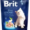 BRIT PREMIUM BY NATURE KANAA KISSANPENNUILLE 300 G
