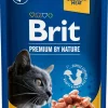 BRIT PREMIUM CAT ANNOSP. ADULT GRAVY SALMON & TROUT 100 G