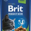 BRIT PREMIUM CAT ANNOSP. STER. GRAVY CHICKEN 100 G