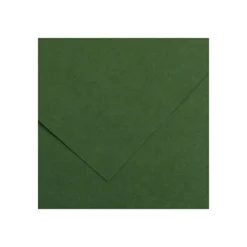 CANSON IRIS VIVALDI 240G 50X65 31 FIR TREE VÄRIKARTONKI