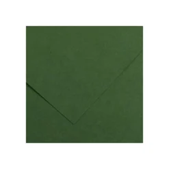 CANSON IRIS VIVALDI 240G 50X65 31 FIR TREE VÄRIKARTONKI