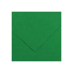 CANSON IRIS VIVALDI 240G 50X65 30 MOSS GREEN VÄRIKARTONKI