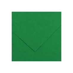 CANSON IRIS VIVALDI 240G 50X65 30 MOSS GREEN VÄRIKARTONKI