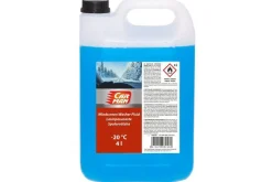 CARMAN LASINPESUNESTE -20 C  4 L