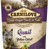 CARNILOVE KOIRAN ANNOSPATEE ADULT VIIRIÄINEN-PORKKANA 300 G