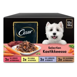 CESAR ANNOSPUSSI KASTIKELAJITELMA ADULT 12*100G 1,2 KG
