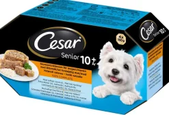 CESAR SENIOR HYYTELÖLAJITELMA 4*150G 600 G