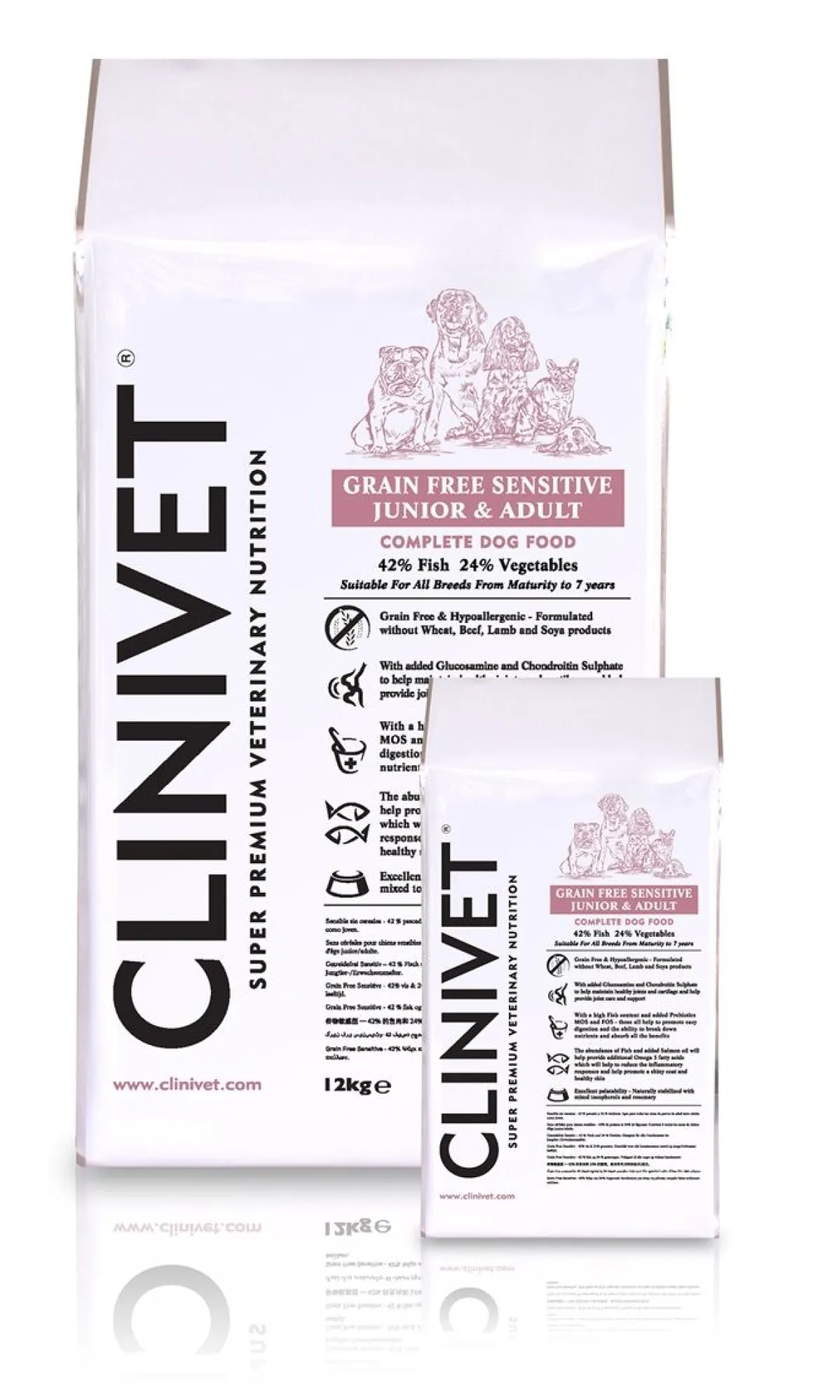 CLINIVET KOIRAN KUIVARUOKA SENSITIVE FISH 12 KG
