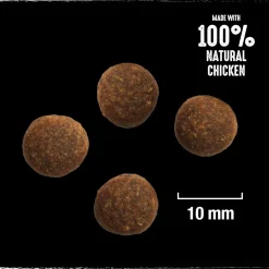 CRAVE KOIRAN TÄYSRAVINTO ADULT KALKKUNAA&KANAA 1KG