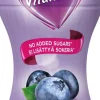 DANONE VITALINEA 0% JOGURTTIJUOMA MUSTIKKA LAKTON 290 G