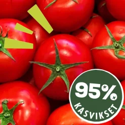 DOLMIO BOLOGNESEKASTIKE ORIGINAL 675 G