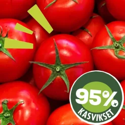 DOLMIO BOLOGNESEKASTIKE VALKOSIPULI 675 G