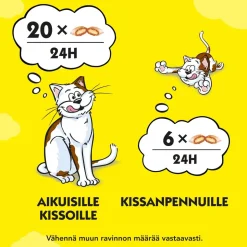 DREAMIES KANA 60 G