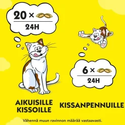 DREAMIES KISSANMINTTU 60 G