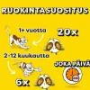 DREAMIES KISSANMINTTU 180 G