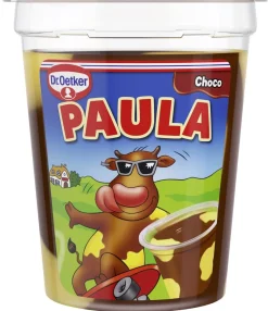 DR. OETKER PAULA SUKLAANMAKUINEN VANUKAS JA VANILJANMAKUISET TÄ 125