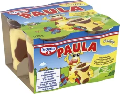 DR. OETKER PAULA VANILJA-SUKLAAVANUKAS 4*125G 500 G