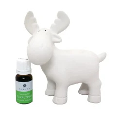 EMENDO SAUNAPORO VALKOINEN + EUKALYPTUS 10 ML