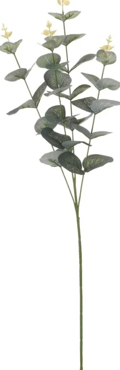 EUKALYPTUSOKSA 65CM