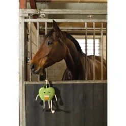 EXCELLENT HORSE FOODIE FRIENDS HEPPALELU, OMENA