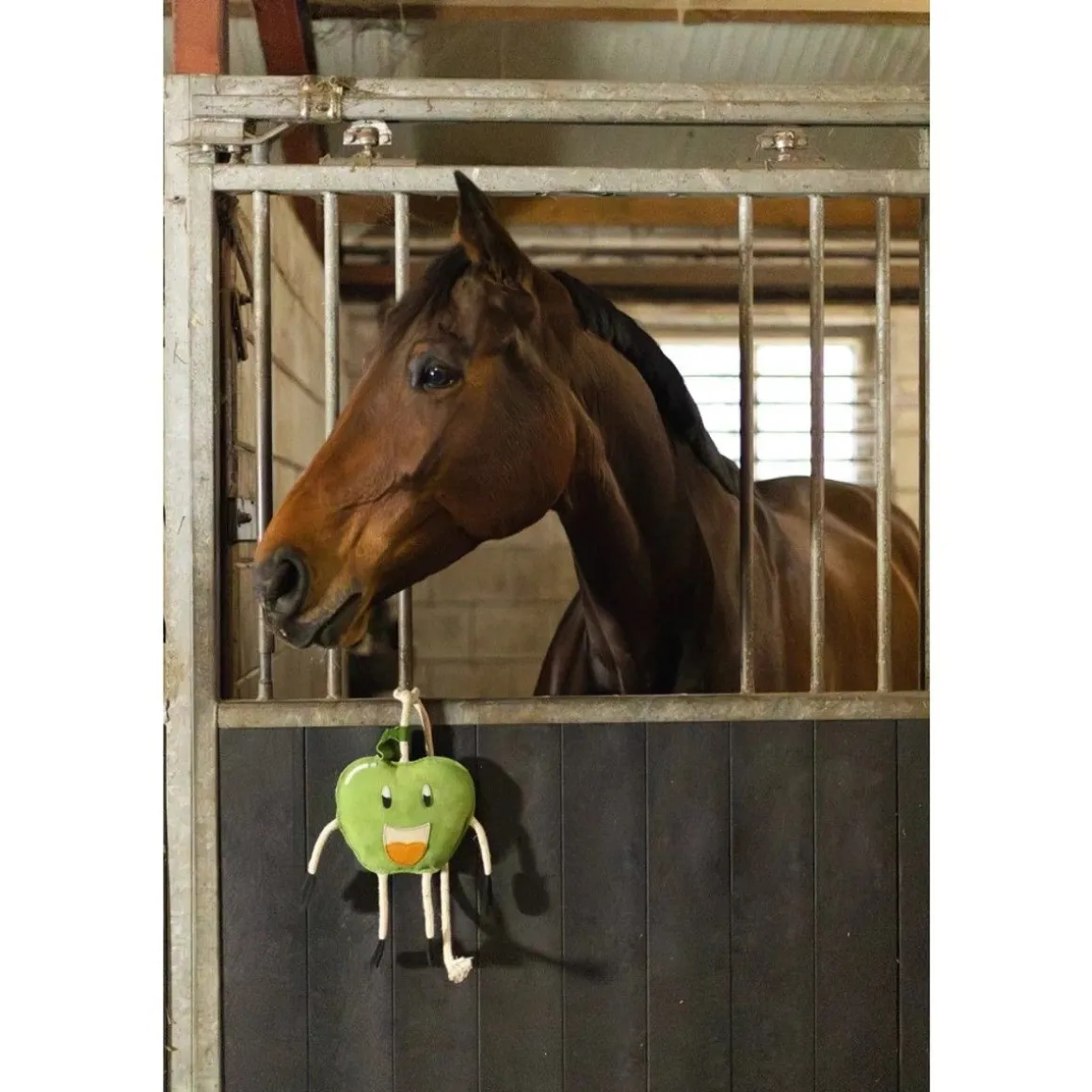 EXCELLENT HORSE FOODIE FRIENDS HEPPALELU, OMENA