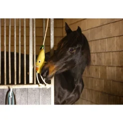 EXCELLENT HORSE FOODIE FRIENDS HEPPALELU, PÄÄRYNÄ