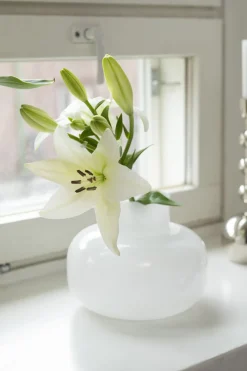 FANNI K MALJAKKO ILMA 16 CM VALKOINEN
